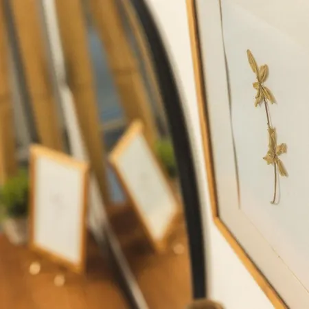 شقة Private Apartment, Unique Location - Sea View Lithakia (Zakynthos)